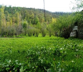 Satılır Torpaq, Qəbələ.ş-13