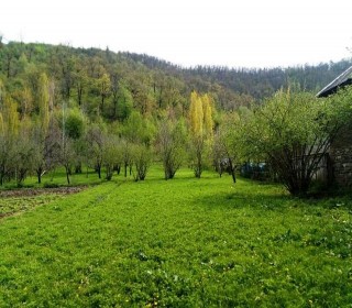 Satılır Torpaq, Qəbələ.ş-16