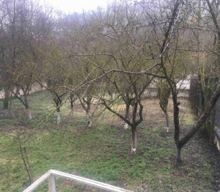 Satılır Həyət evi, Şəmkir.ş-13