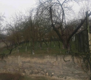 Satılır Həyət evi, Şəmkir.ş-16