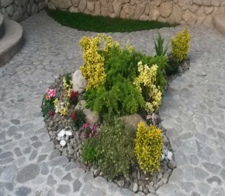 Kirayə (Aylıq) Villa, Xəzər.r, Şüvəlan-17