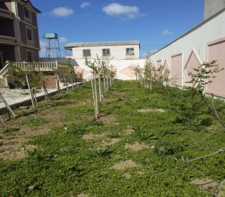 Satılır Villa, Səbail.r, Badamdar, Elmlər Akademiyası.m-11