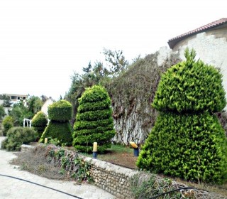 Satılır Villa, Xəzər.r, Şüvəlan-11