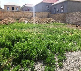 Satılır Torpaq, Sabunçu.r, Yeni Ramana-2