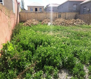 Satılır Torpaq, Sabunçu.r, Yeni Ramana-4