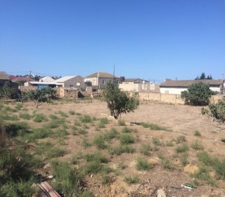 Satılır Torpaq, Xəzər.r, Buzovna-3