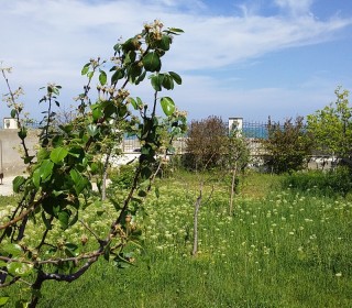 Satılır Həyət evi, Qaradağ.r, Səngəçal, Elmlər Akademiyası.m-5