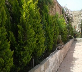 Kirayə (Aylıq) Villa, Sabunçu.r, Nardaran, Koroğlu.m-3
