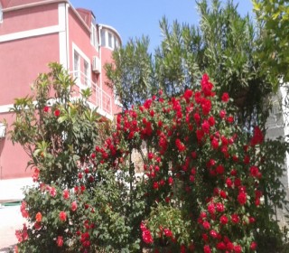 Kirayə (Aylıq) Villa, Sabunçu.r, Nardaran, Koroğlu.m-6