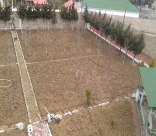 Satılır Villa, Sabunçu.r, Nardaran, Koroğlu.m-10
