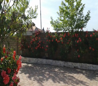 Satılır Villa, Sabunçu.r, Nardaran, Koroğlu.m-15