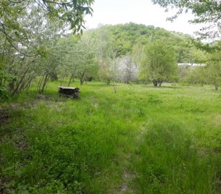 Satılır Torpaq, Qəbələ.ş-2
