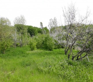 Satılır Torpaq, Qəbələ.ş-8