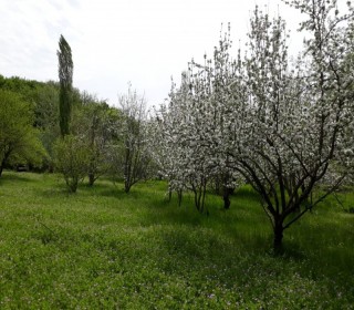 Satılır Torpaq, Qəbələ.ş-12