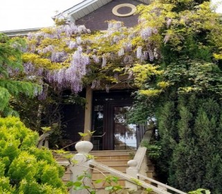 Satılır Villa, Yasamal.r-10