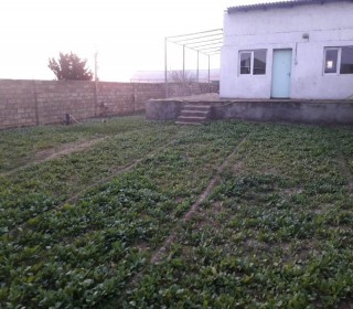 Satılır Həyət evi, Xəzər.r, Türkan-1