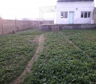 Satılır Həyət evi, Xəzər.r, Türkan-2