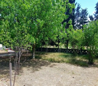 Kirayə (Aylıq) Həyət evi, Xəzər.r, Şüvəlan, Koroğlu.m-2