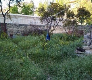 Satılır Torpaq, Nərimanov.r, Gənclik.m-2