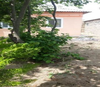 novxanida ucuz bag evleri tap az, -11