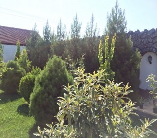 Kirayə (Aylıq) Həyət evi, Xəzər.r, Mərdəkan, Koroğlu.m-2