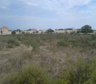 Satılır Torpaq, Abşeron.r, Məhəmmədli-4