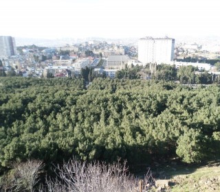 Satılır Villa, Binəqədi.r, 9-cu mikrorayon-5