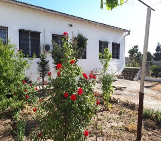 Satılır Həyət evi, Xəzər.r, Buzovna-1