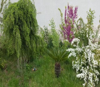 bina az.merdekanda bağçalı heyet evleri, -9