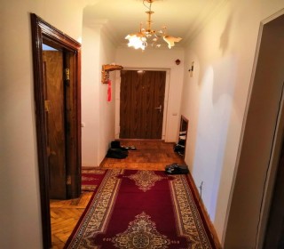 bina az kiraye evler 2024, -8