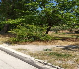 Satılır Torpaq, Suraxanı.r, Yeni Günəşli, Xalqlar Dostluğu m..m-6