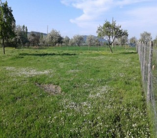 Satılır Torpaq, Quba.ş-2