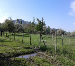 Satılır Torpaq, Quba.ş-3