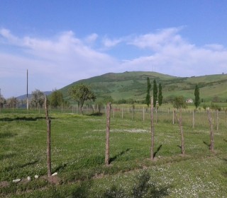 Satılır Torpaq, Quba.ş-6