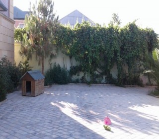 Satılır Həyət evi, -6