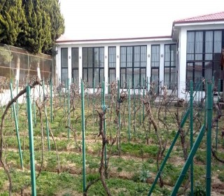 Satılır Villa, Abşeron.r, Novxanı-11
