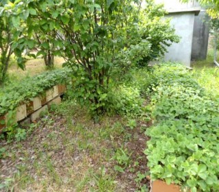 Satılır Villa, Abşeron.r, Masazır-12