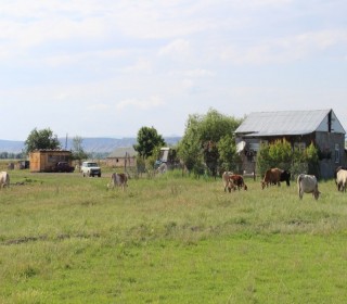 Satılır Torpaq, Ağsu.ş-11