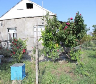 Satılır Torpaq, Ağsu.ş-17