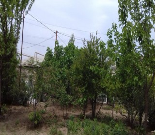 Satılır Həyət evi, Xəzər.r, Binə-1