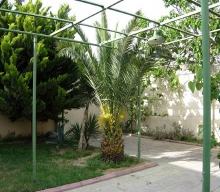 Satılır Villa, Xəzər.r, Buzovna-3