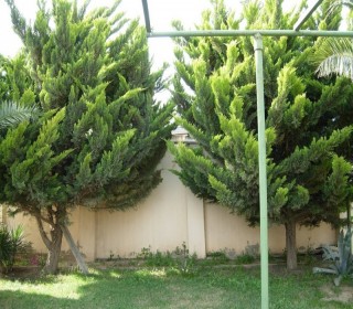 Satılır Villa, Xəzər.r, Buzovna-4