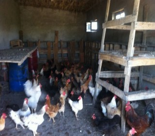 Satılır Obyekt, Salyan.ş-4