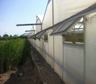 Satılır Obyekt, Salyan.ş-9