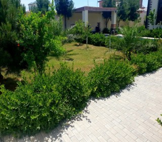 Kirayə (Aylıq) Həyət evi, Xəzər.r, Şüvəlan, Koroğlu.m-12