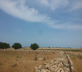 Satılır Torpaq, Xəzər.r, Türkan-3