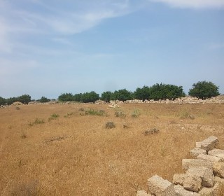 Satılır Torpaq, Xəzər.r, Türkan-5