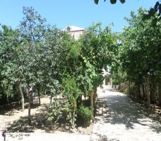 Satılır Villa, Abşeron.r, Novxanı-4