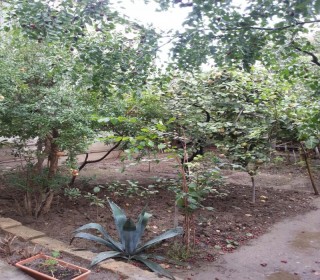 Satılır Həyət evi, Binəqədi.r, Binəqədi, Azadlıq.m-2