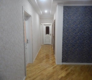 Satılır Yeni Tikili, Nəsimi.r, Papanin, 20 Yanvar.m-6